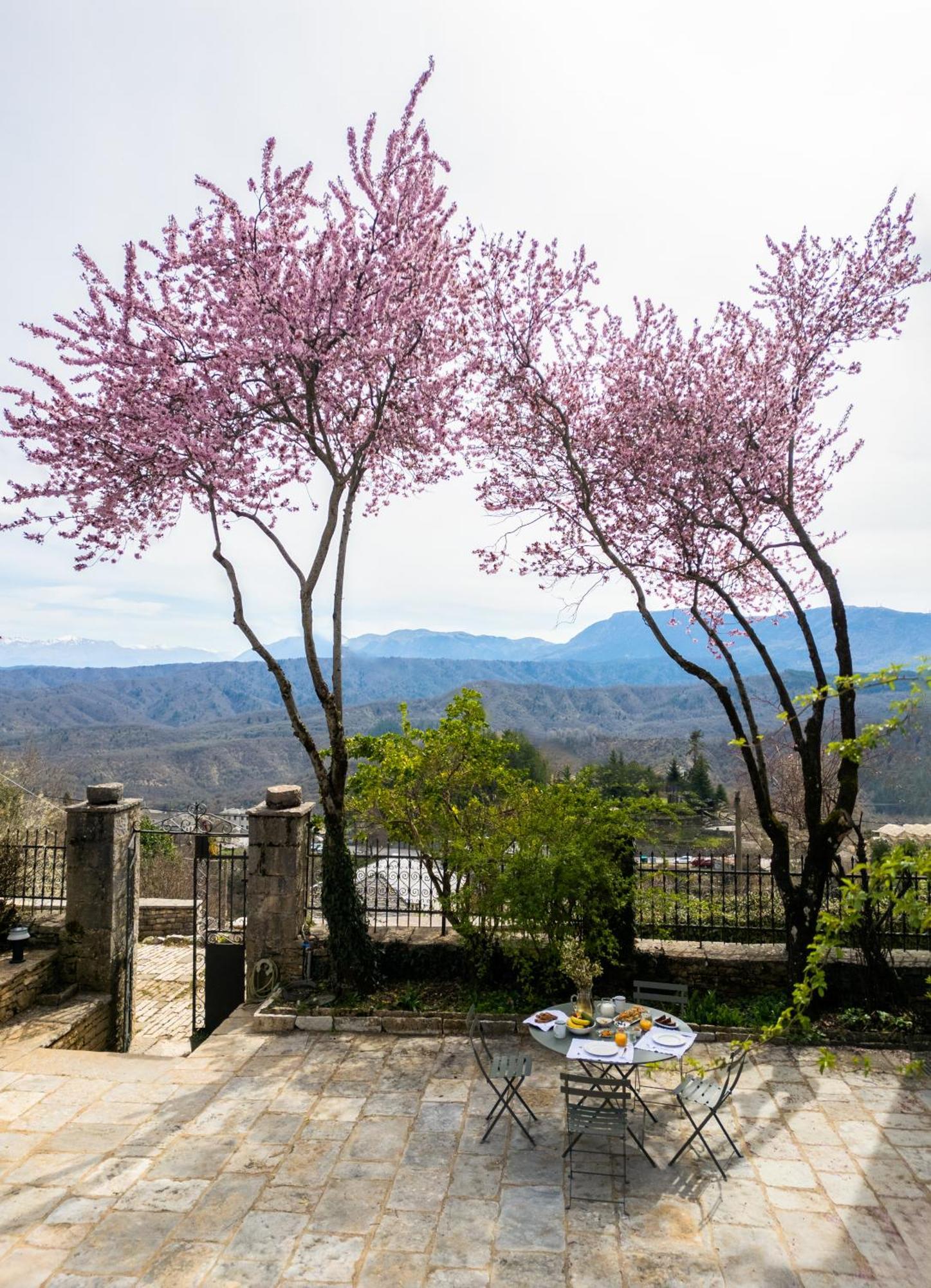 Katikia Zagori Otel Vitsa Dış mekan fotoğraf