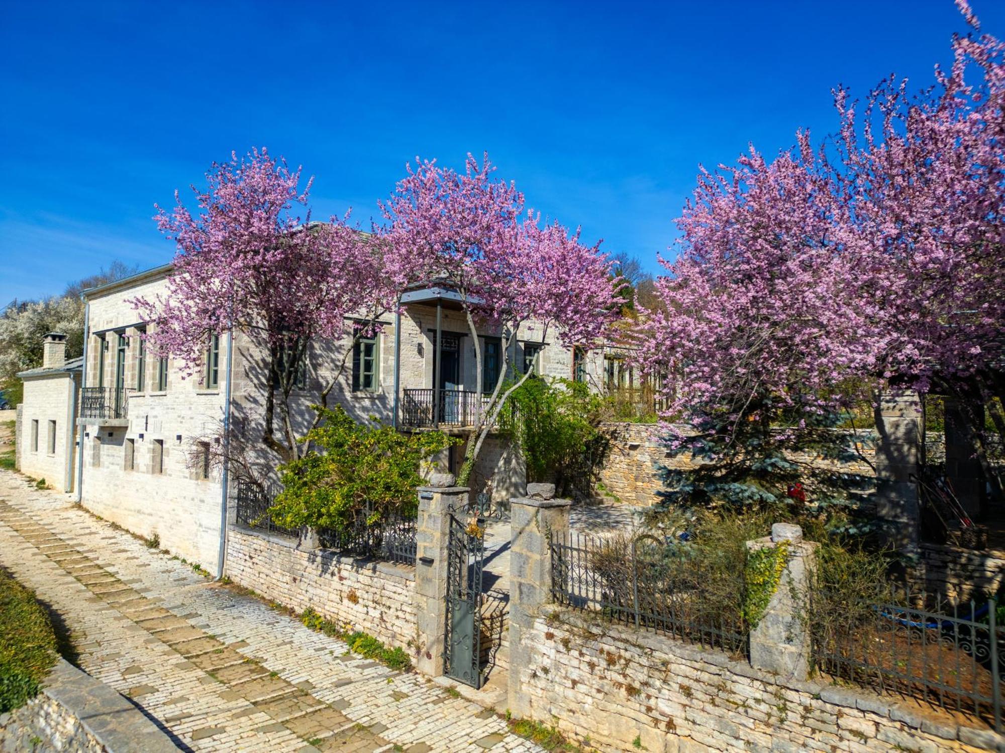 Katikia Zagori Otel Vitsa Dış mekan fotoğraf